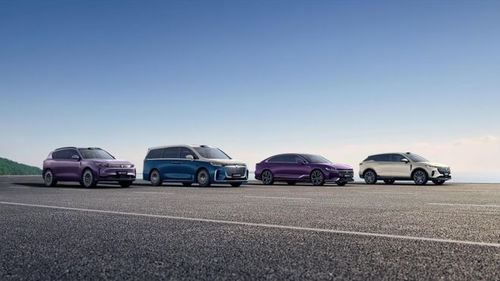 岚图汽车谋变 产品与技术双轮驱动，冲刺港股奔赴新战场